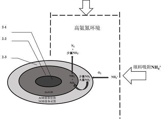 Low-temperature low-ammonia-nitrogen sewage denitrification device based on magnetocaloric effect coupling carrier