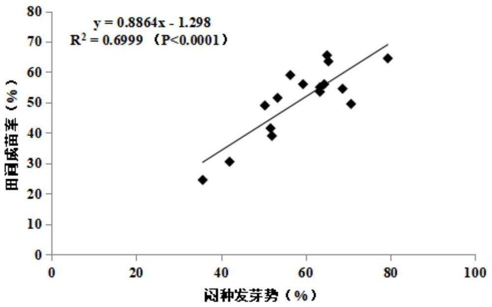 A method for measuring the vigor of rice seeds by the treatment of boring seeds