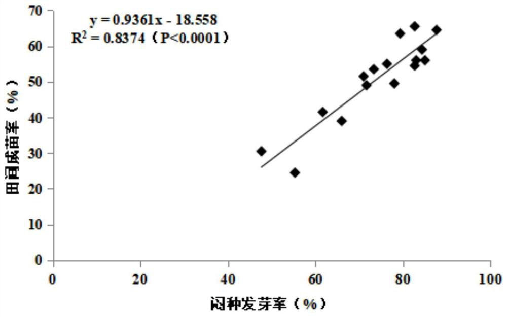 A method for measuring the vigor of rice seeds by the treatment of boring seeds