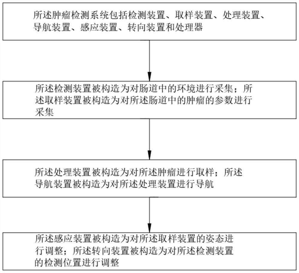 Intestinal tumor detection system