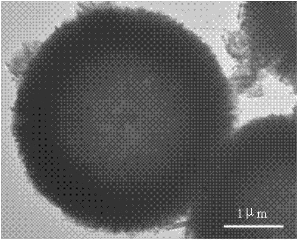 NiO hollow sphere catalyst for catalyzing N2O to directly decompose as well as preparation method and application of NiO hollow sphere catalyst