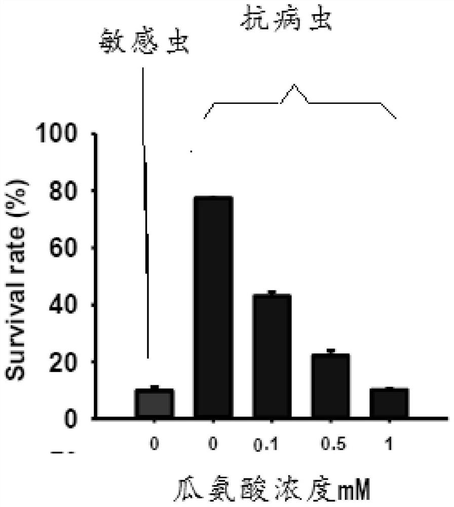 Biological insecticide and control method for controlling brown planthopper