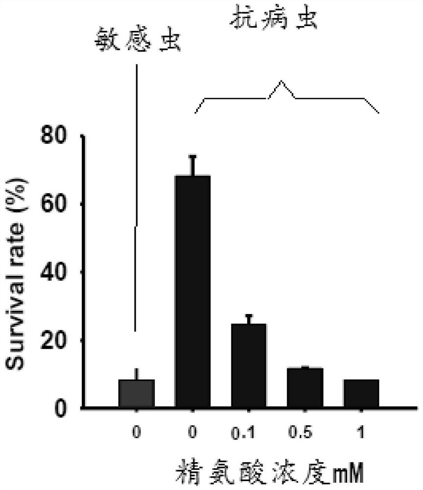 Biological insecticide and control method for controlling brown planthopper