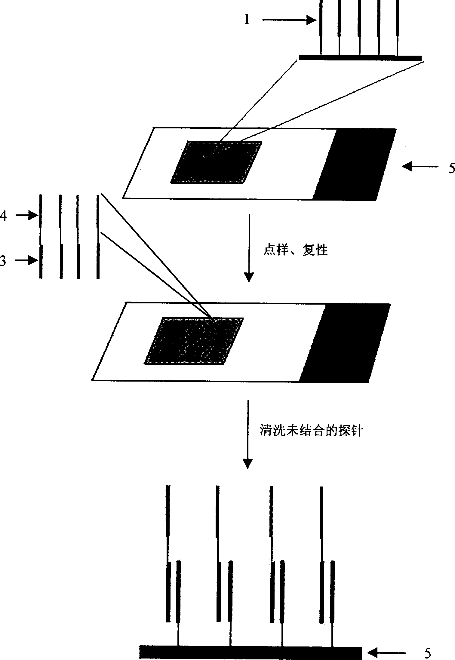 Microarray chip of oligonucleotide and its preparing method