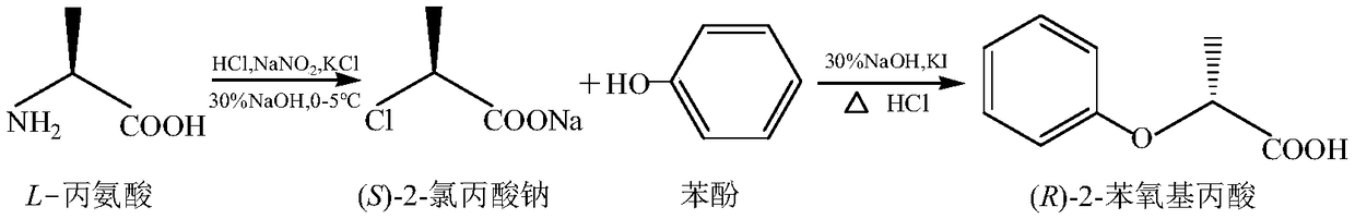 Chemical synthesis method of (R)-2-phenoxypropionic acid