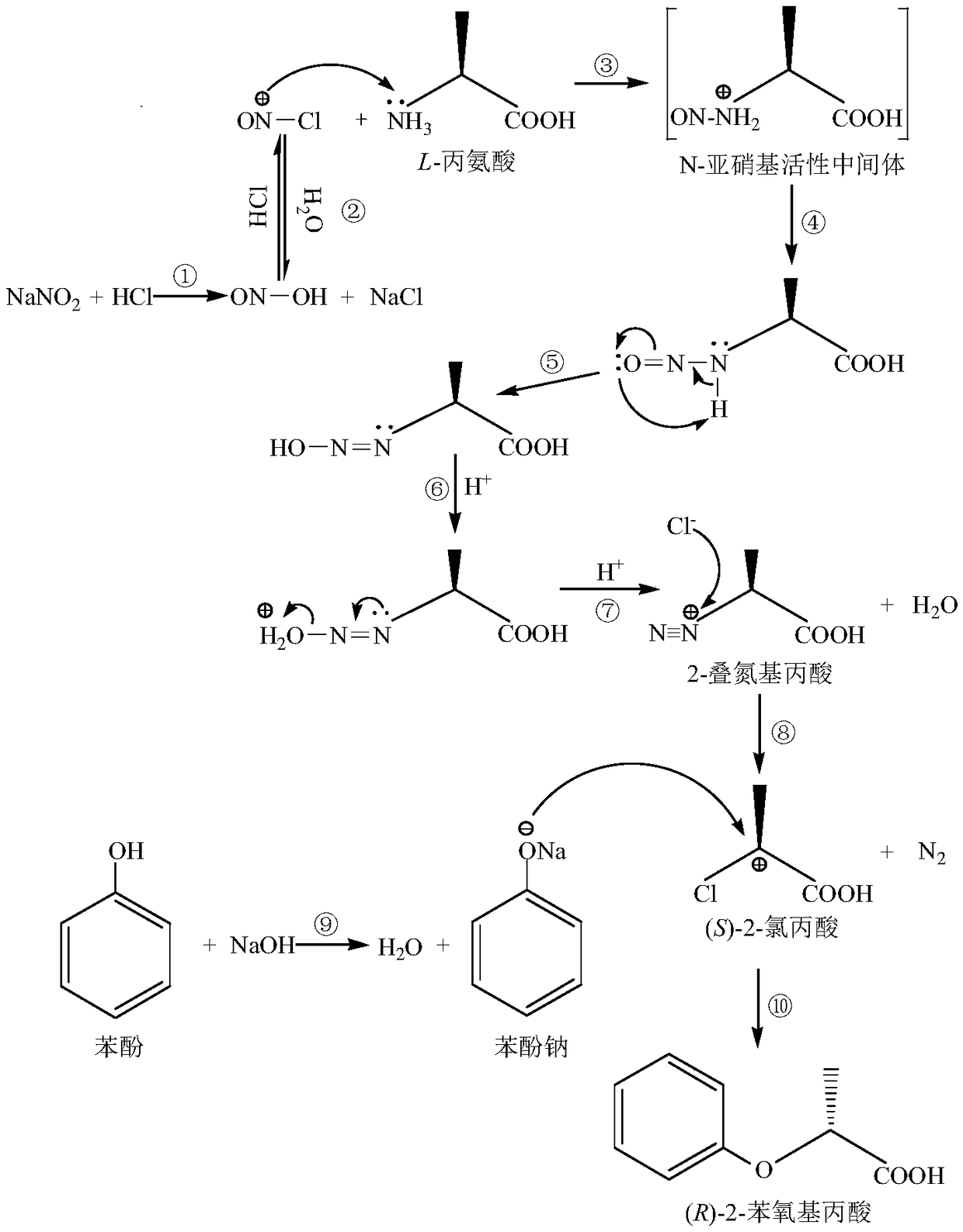 Chemical synthesis method of (R)-2-phenoxypropionic acid