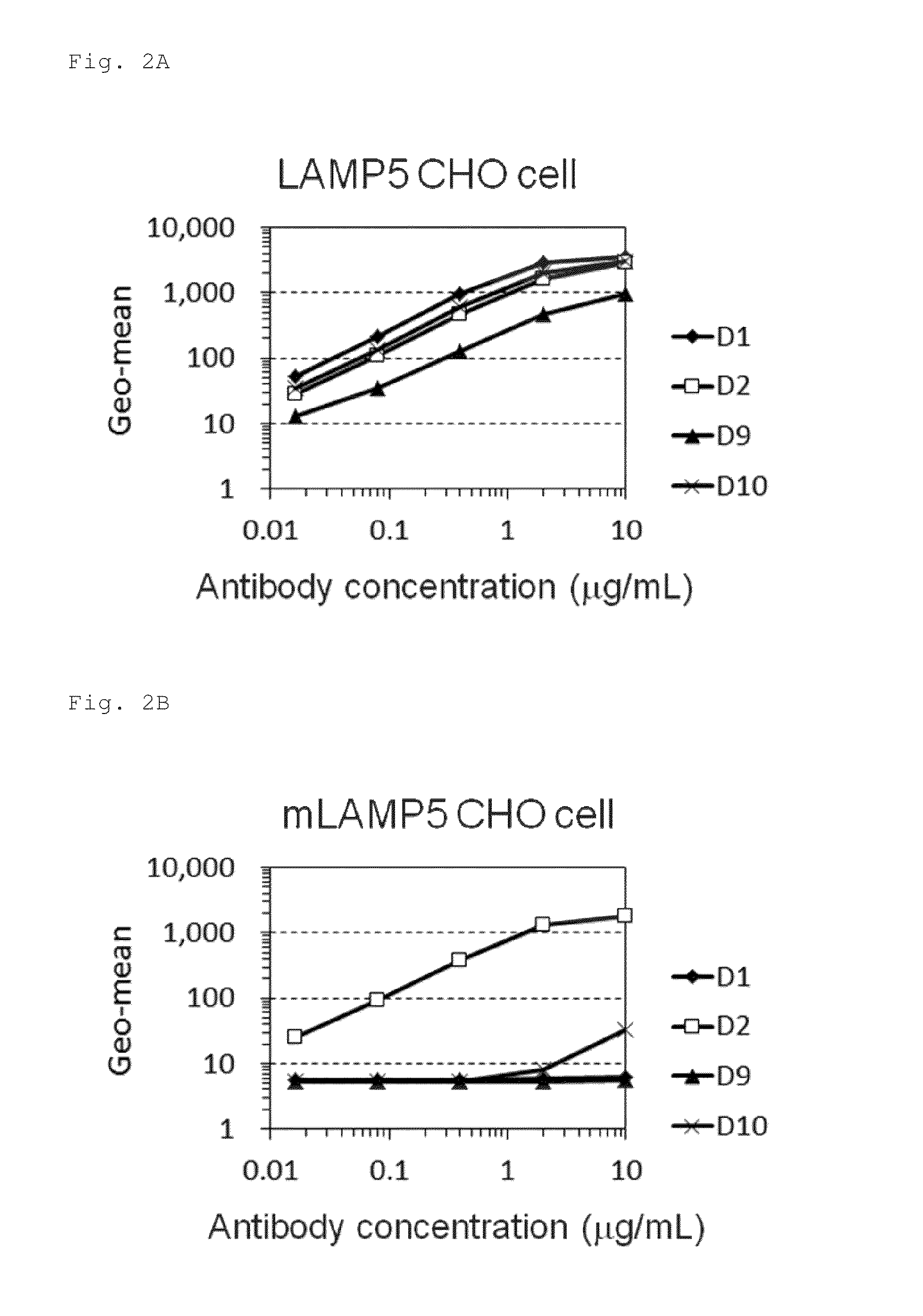 Anti-lamp5 antibody and utilization thereof