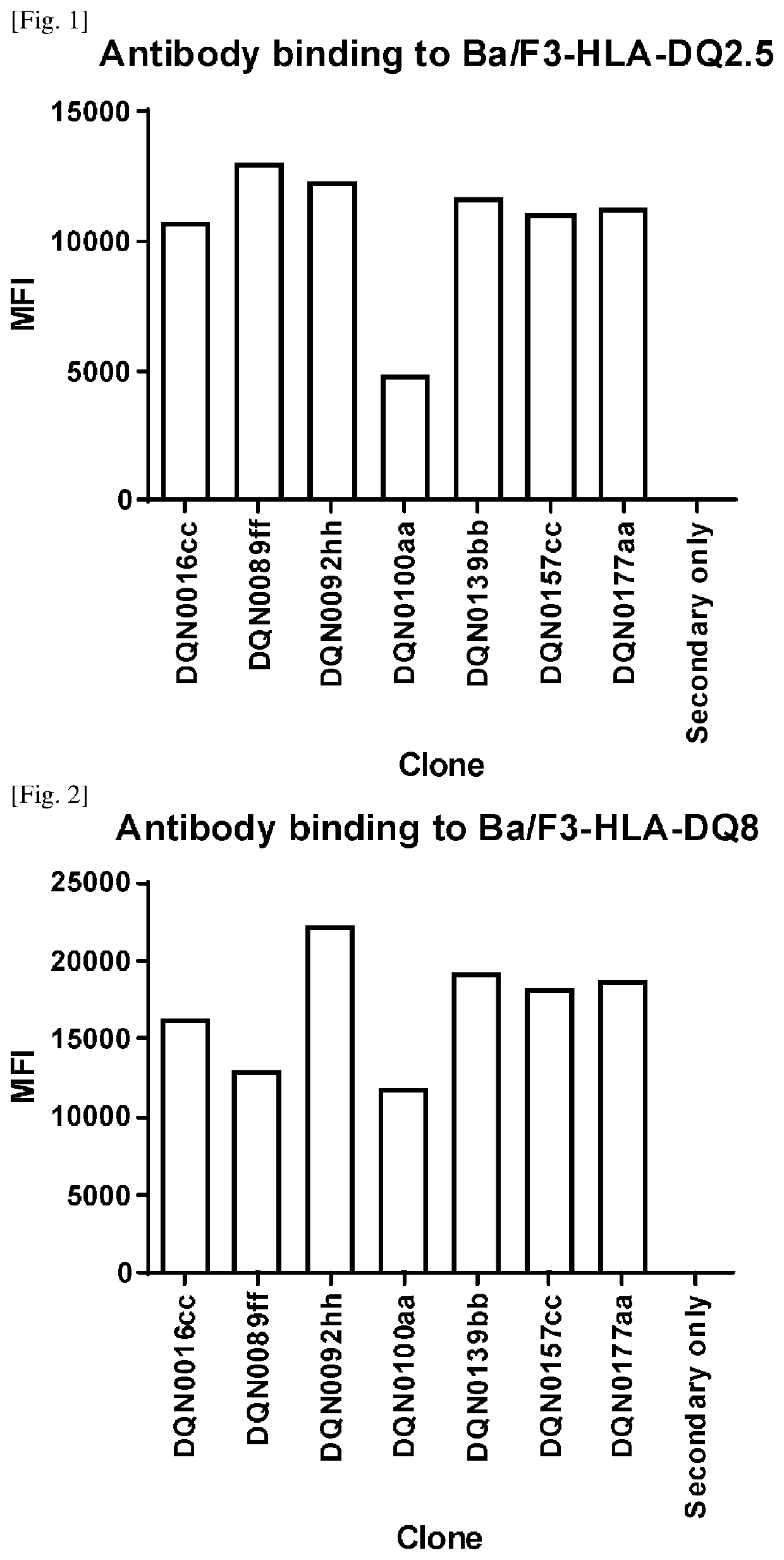Anti-hla-dq2.5/8 antibody and its use for the treatment of celiac disease