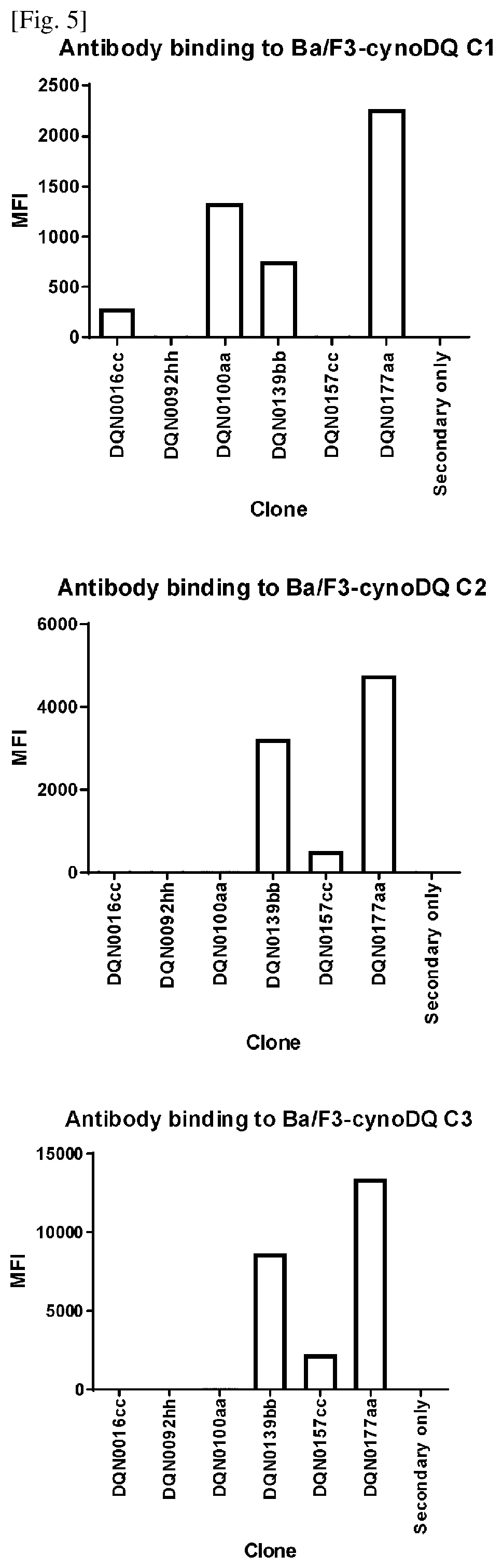 Anti-hla-dq2.5/8 antibody and its use for the treatment of celiac disease