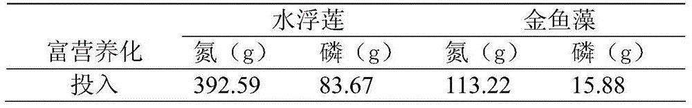 Method for governing eutrophication of fresh water net cage fish-farming area