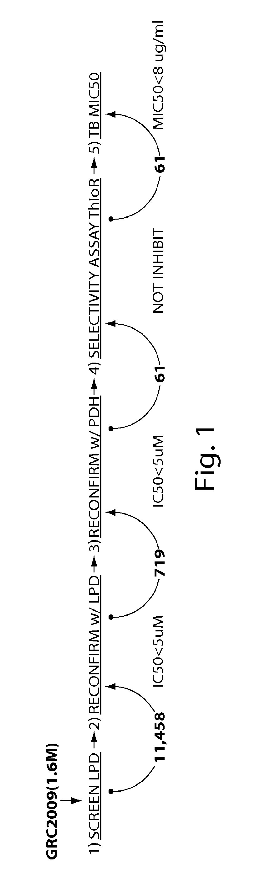 Compounds and methods for treating tuberculosis infection