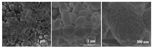 H-occupied BiVO4-OVs photocatalytic material and production method and application thereof