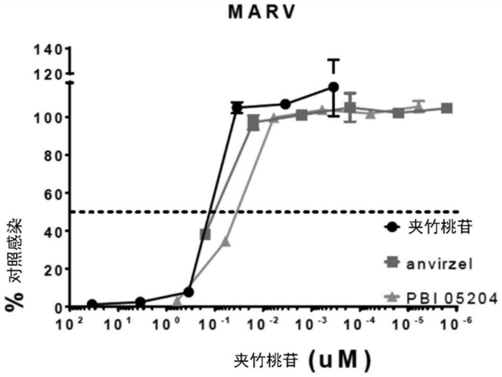 Methods and compositions for treating coronavirus infection