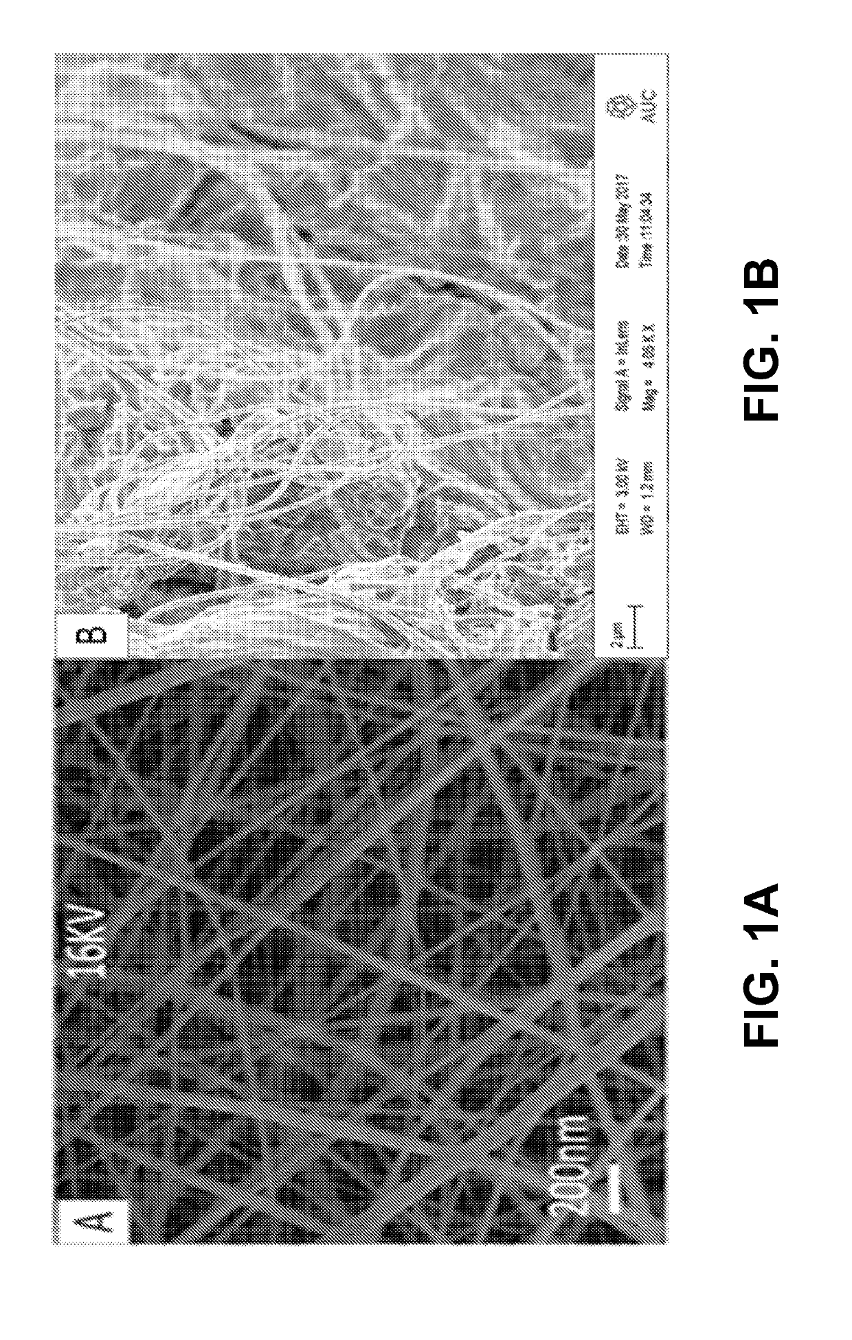 Polyvinyl alcohol/chitosan composite soluble electrospun nanofibers for disinfectant Anti-bacterial and Anti-corrosion applications