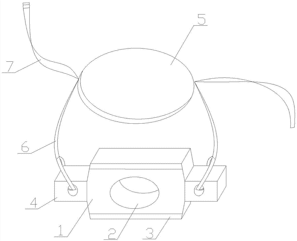 Veterinary support device for oral cavity