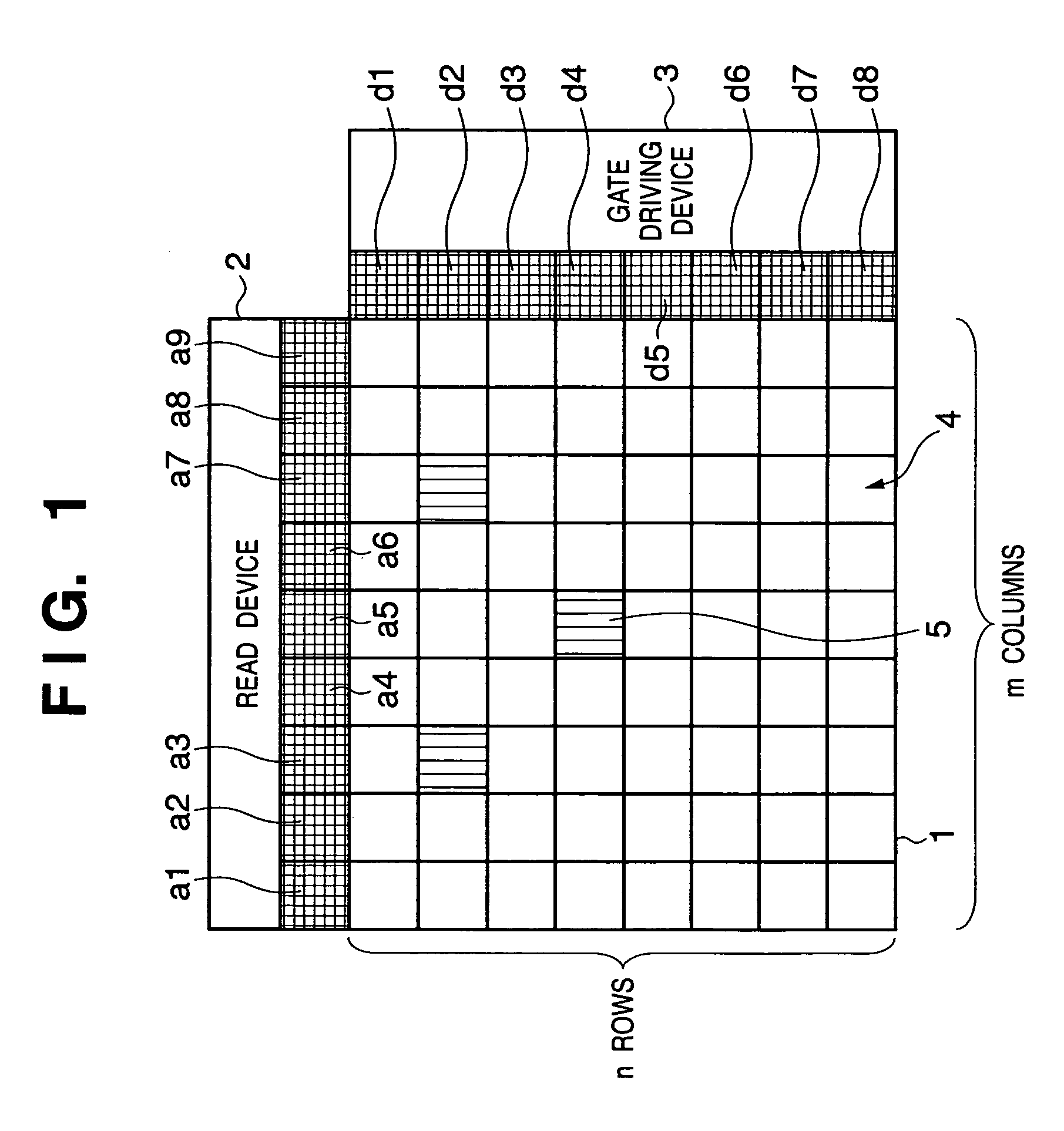 Radiographic apparatus and radiographic system
