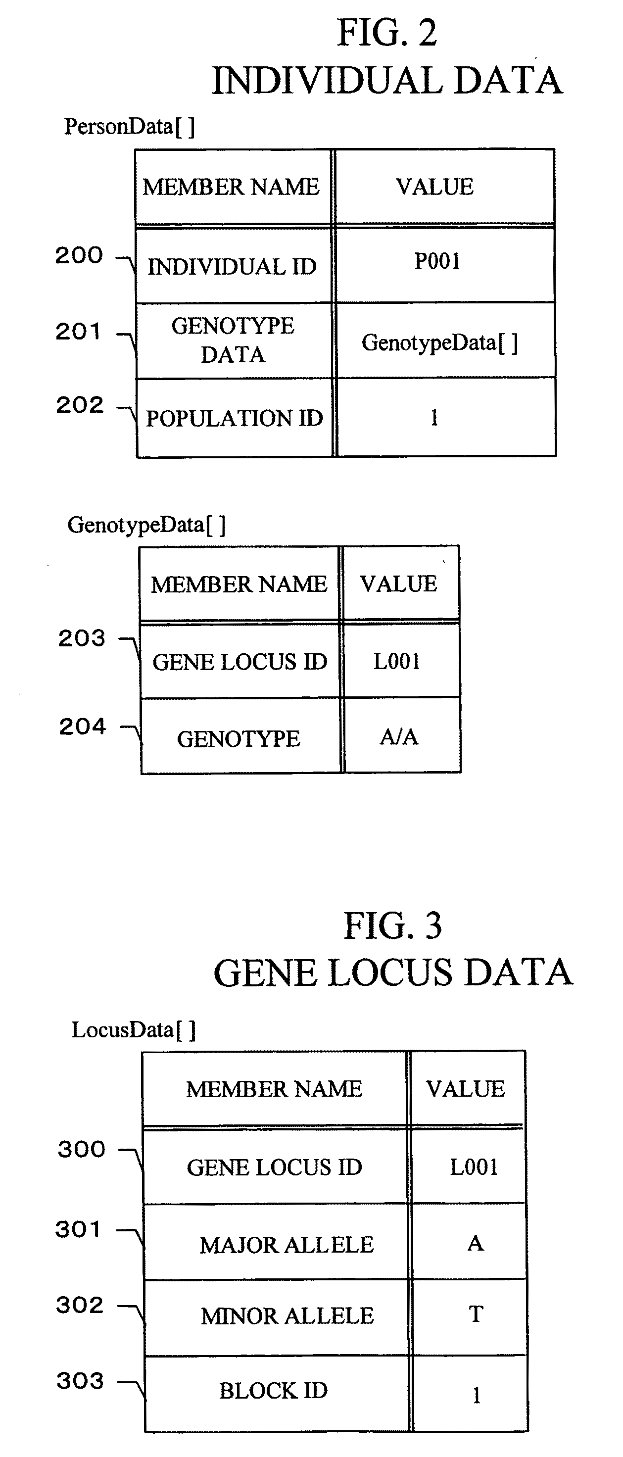 Gene information display method and apparatus