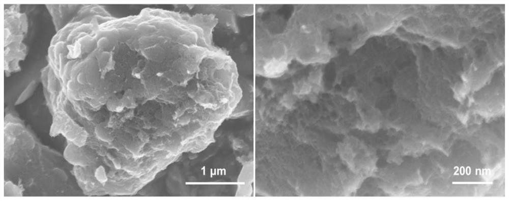 Porous carbon material based on high-temperature thermal shock carbonization and KOH activation of coconut shell material, preparation method and application