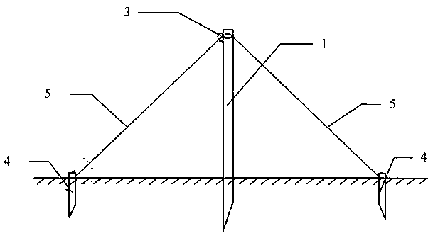 Construction method of high vertical straw sand barrier suitable for strong wind area