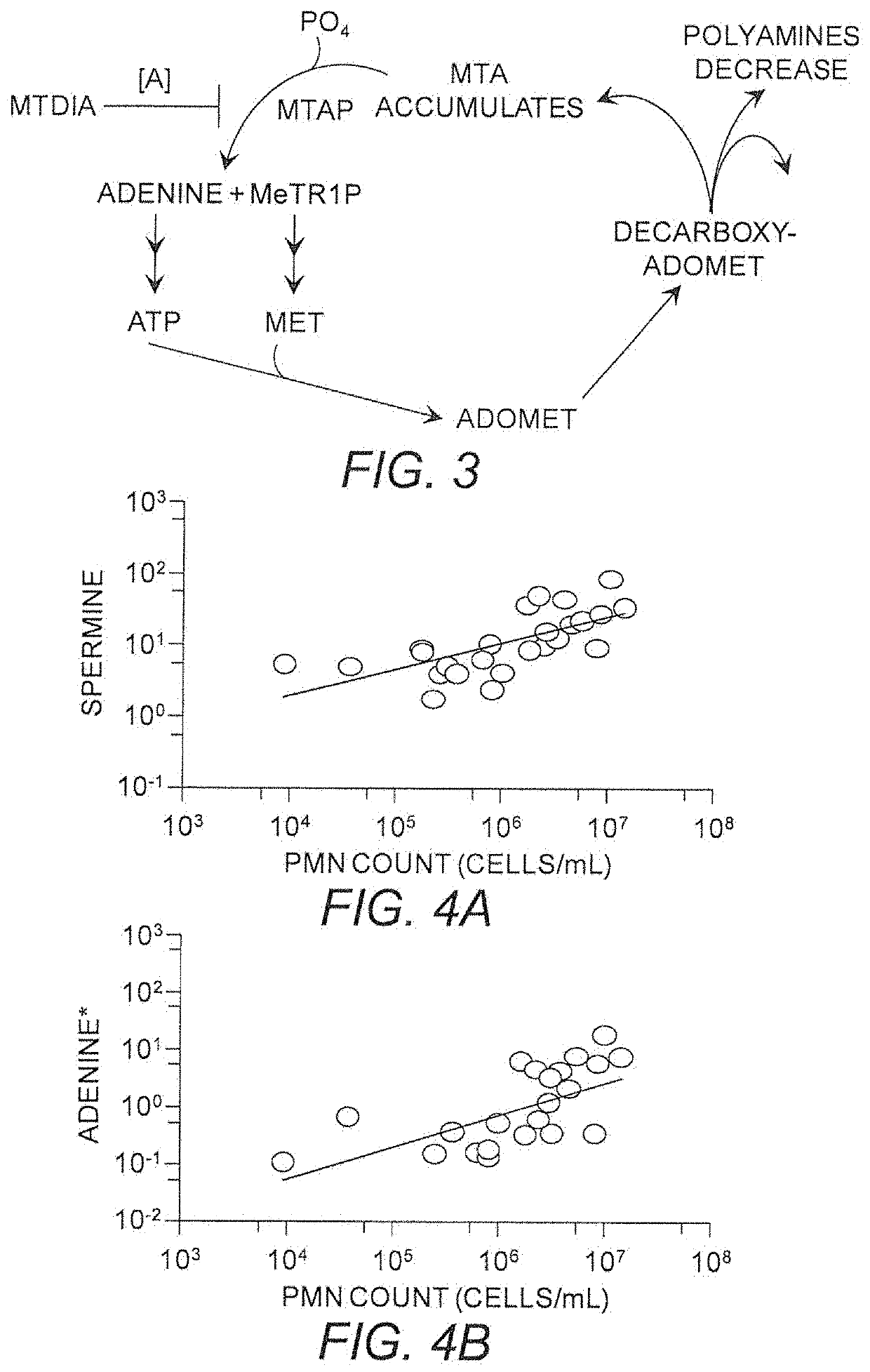 Use of MTAP inhibitors for the treatment of lung disease