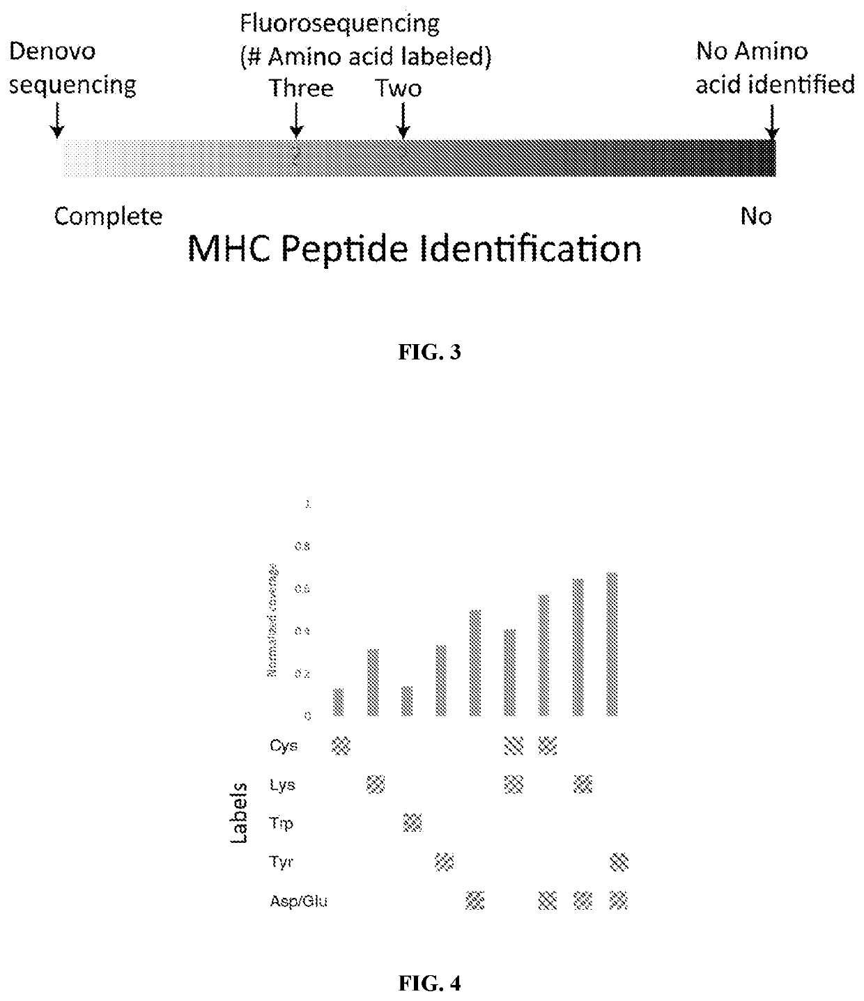 Single molecule sequencing peptides bound to the major histocompatibility complex