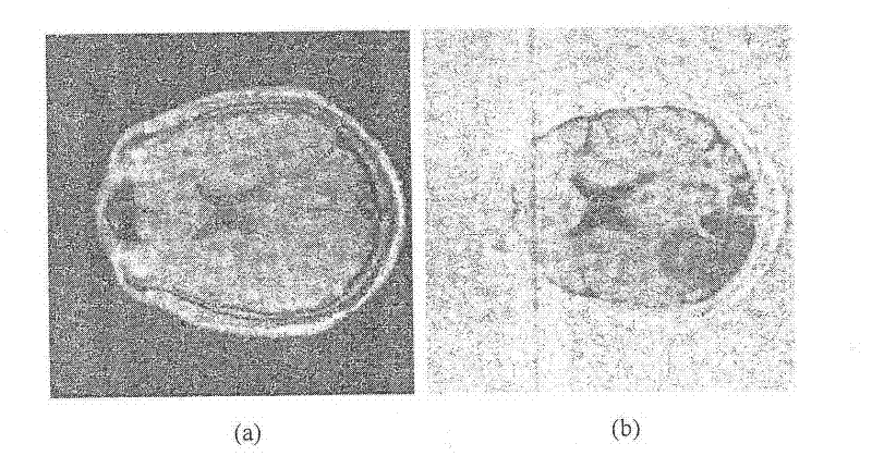 Denoising and sharpening method by aiming at multimode image