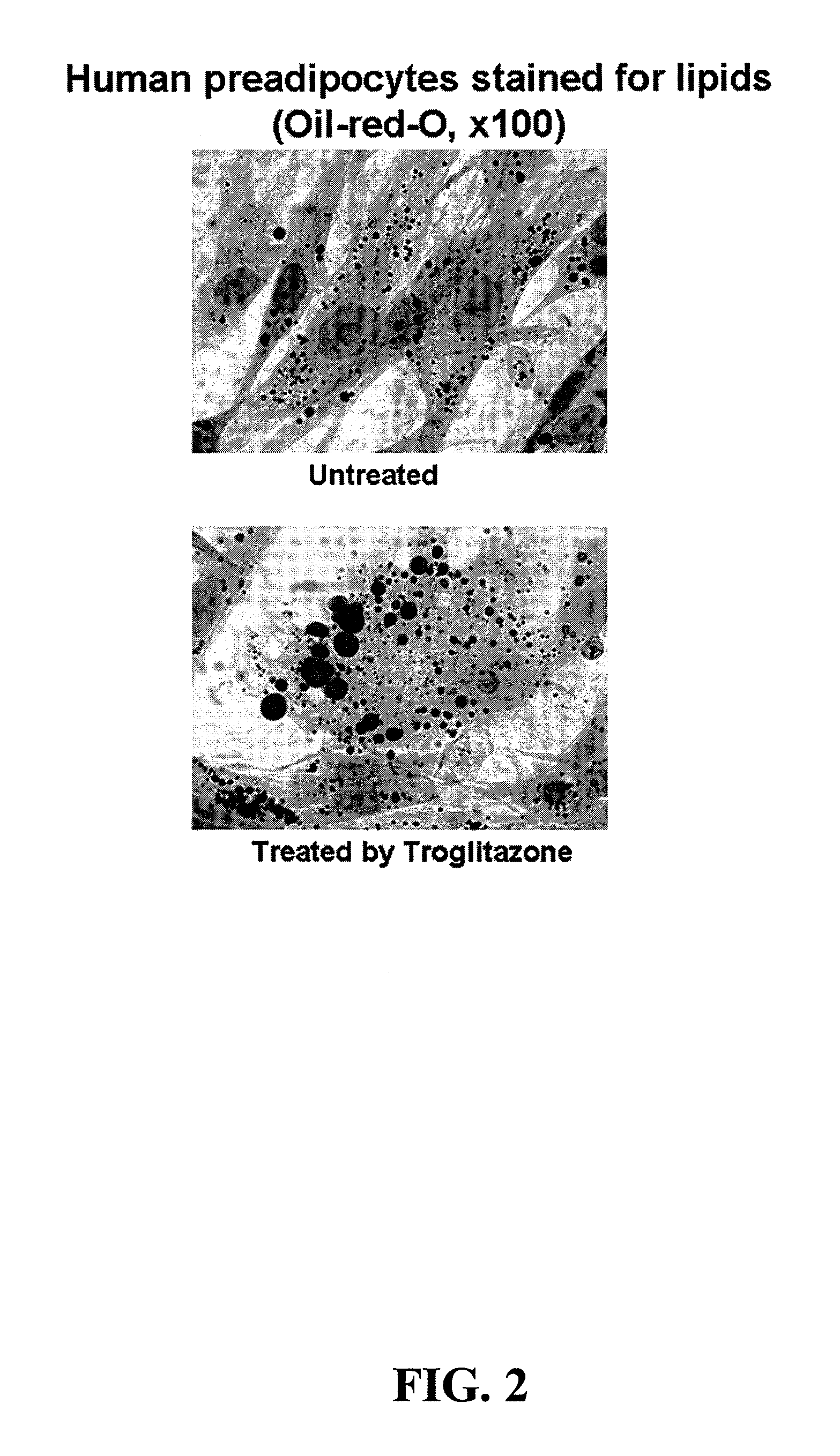 Compositions and methods for increasing cellular far and bleaching skin