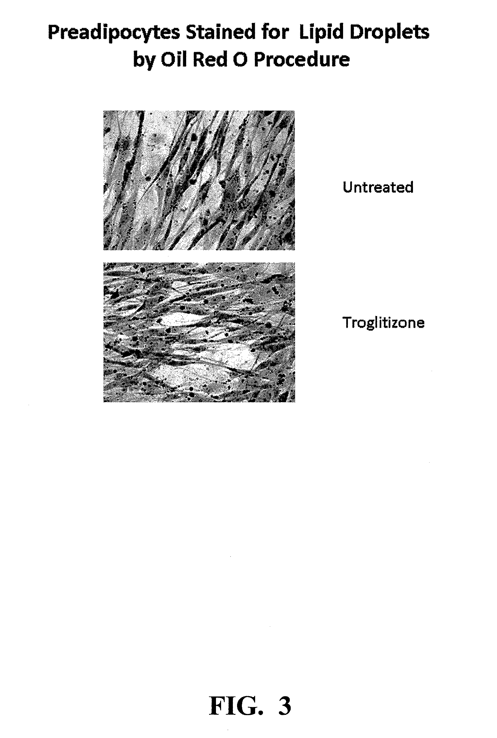 Compositions and methods for increasing cellular far and bleaching skin