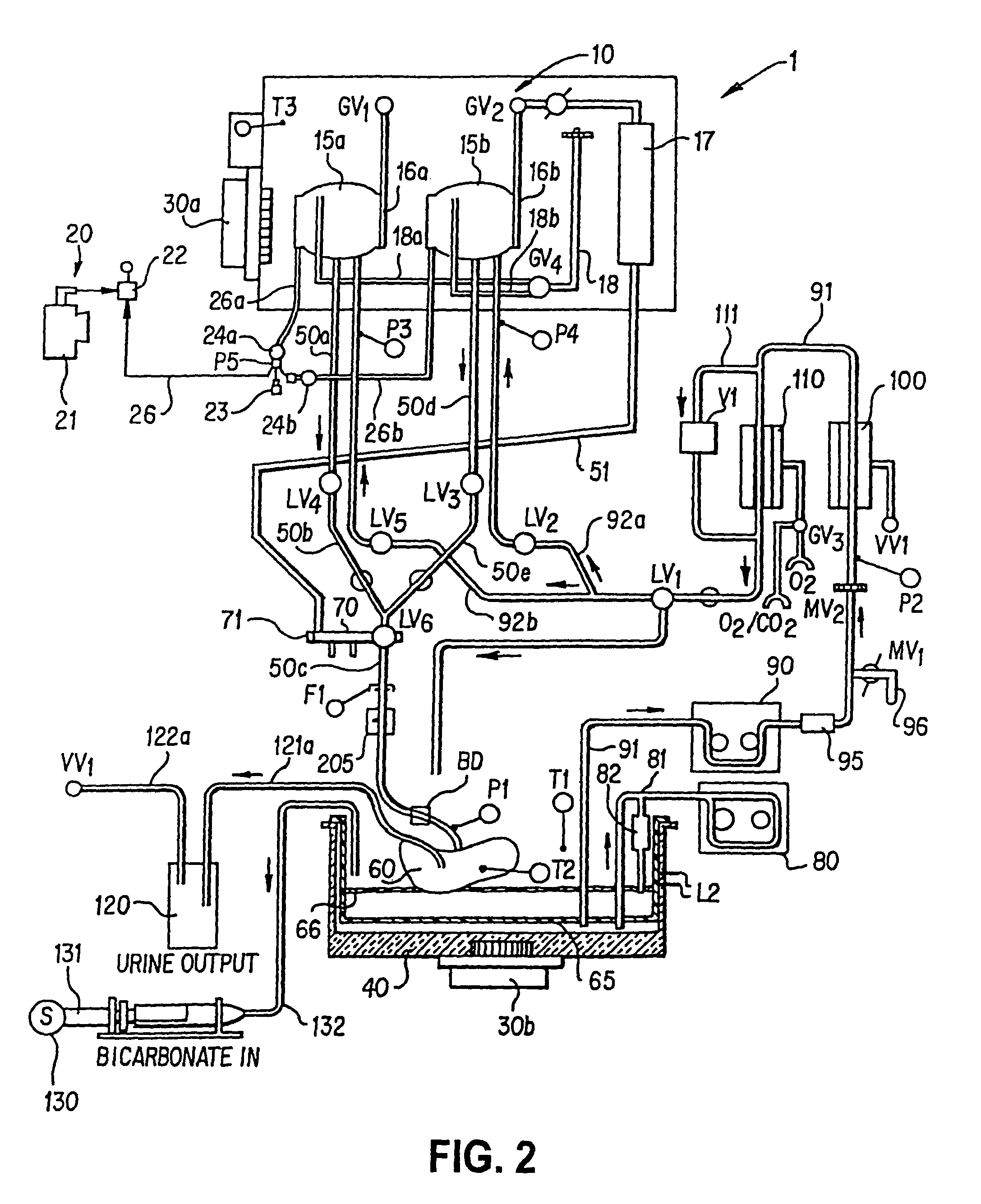 Apparatus and method for maintaining and/or restoring viability of organs