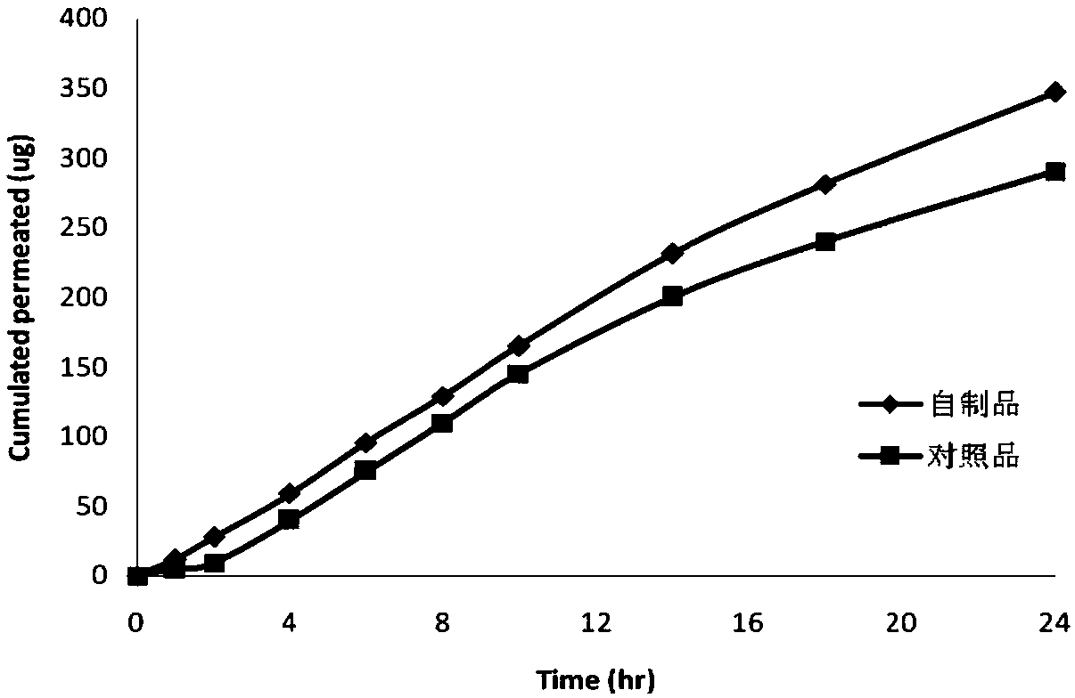 Tulobuterol transdermal patch and preparation method thereof