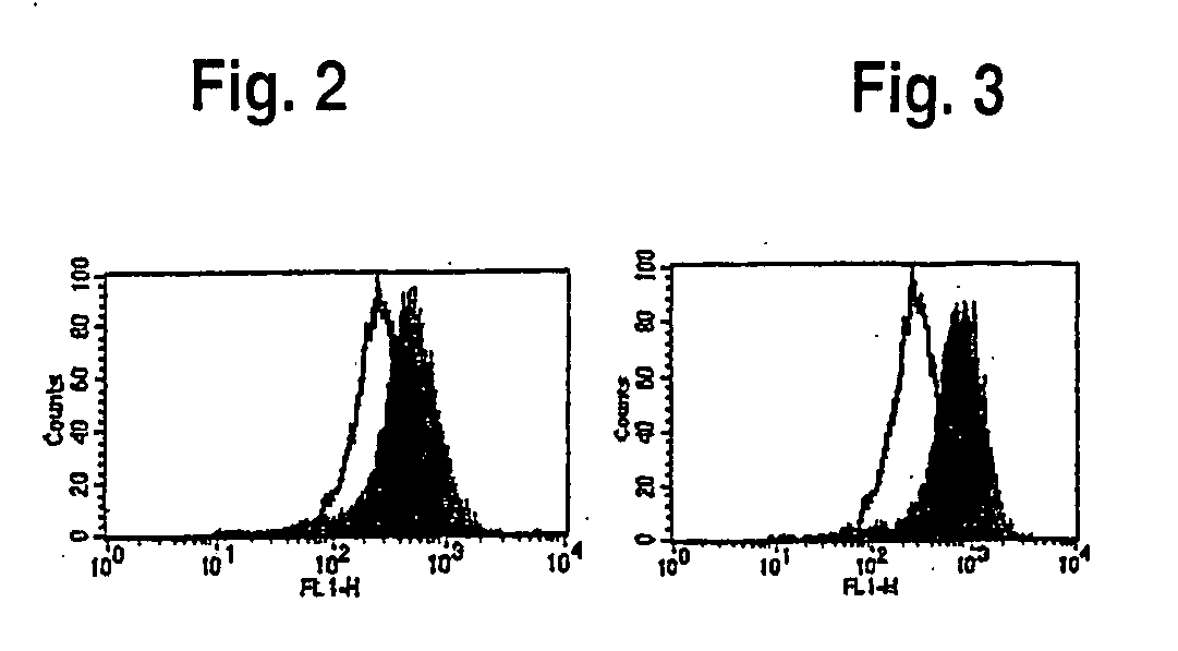 CMV-IE1 peptides and method of use