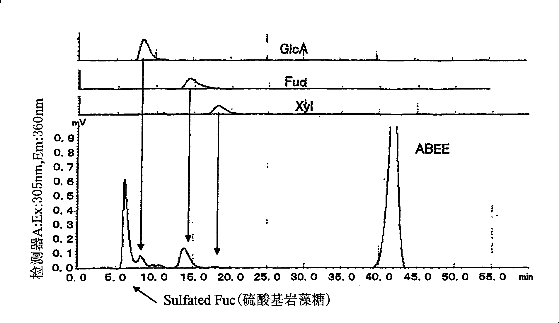 Composition containing fucoidan or fucoidan hydrolysate and immunopotentiating material