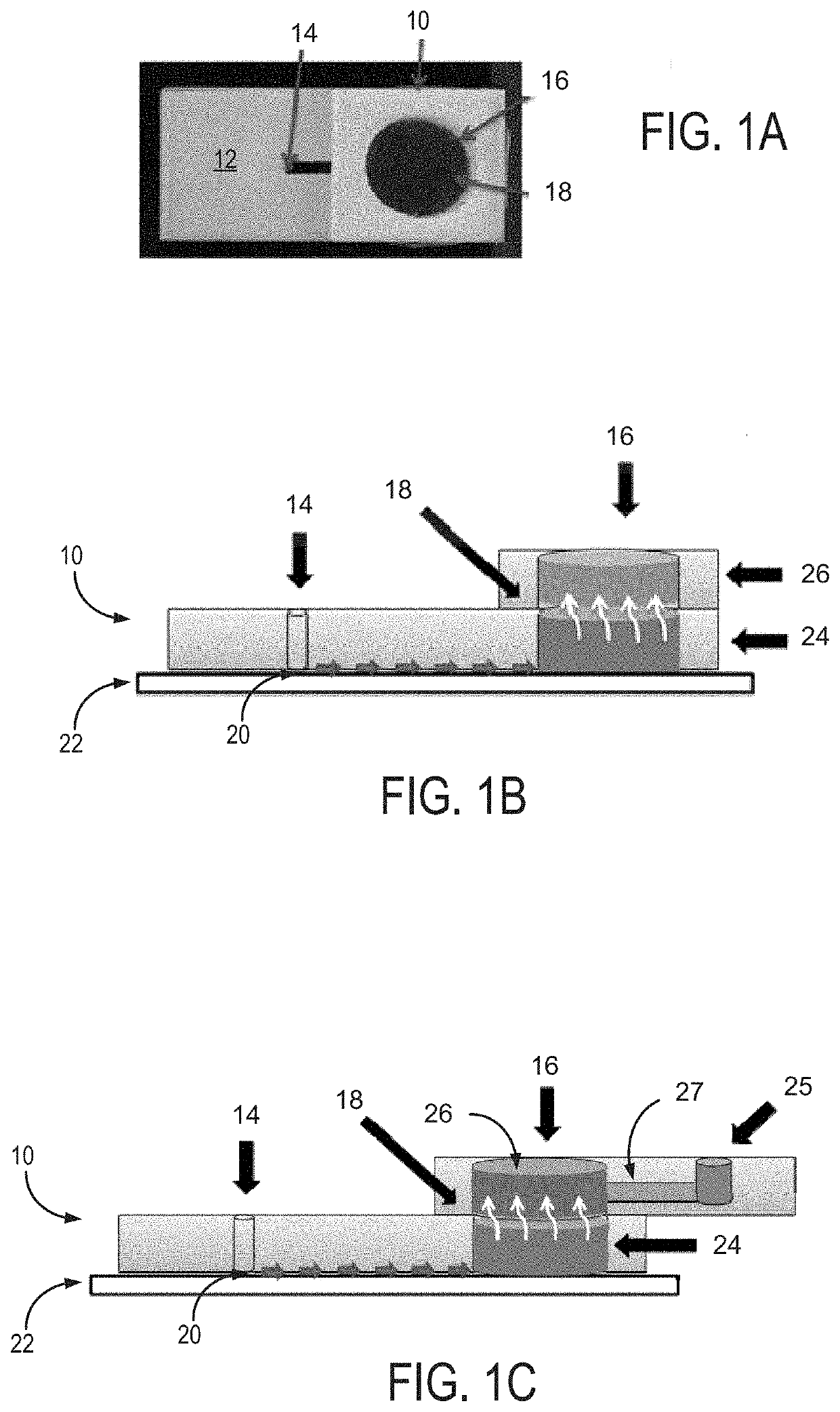 System and method for sperm sorting