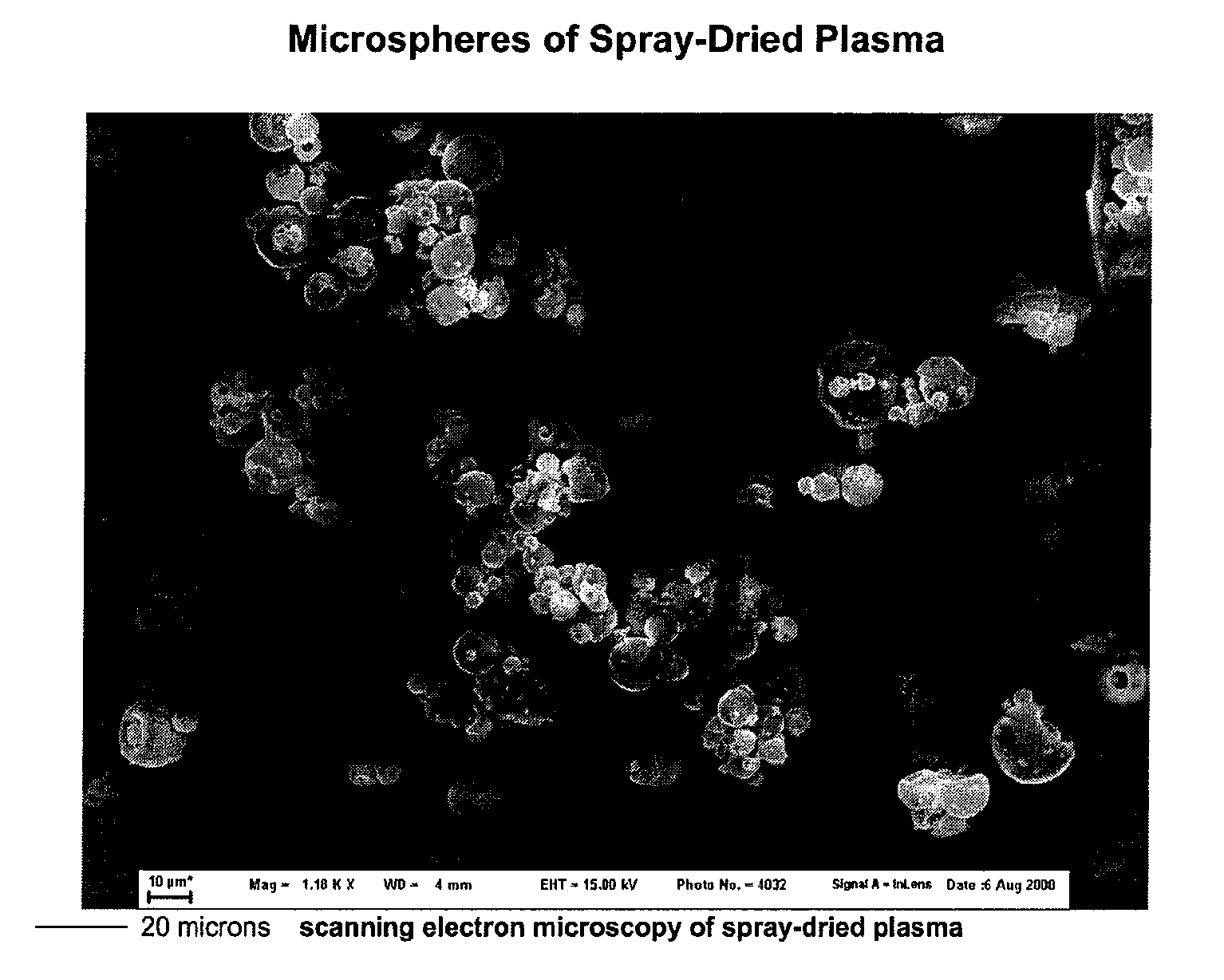 Spray-Dried Blood Products and Methods of Making Same