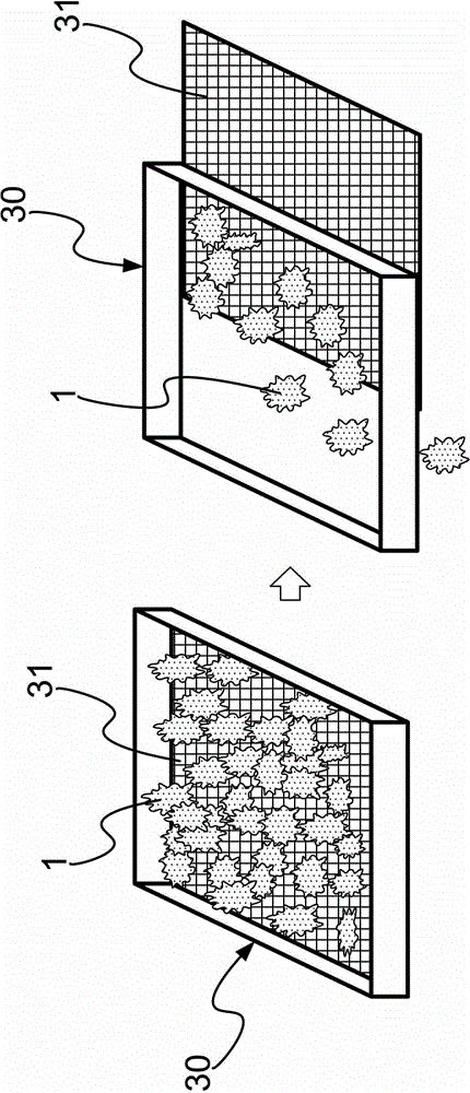 Solid state fermentation method of full-functional efficient edible and medicinal fungi solid state fermentation system