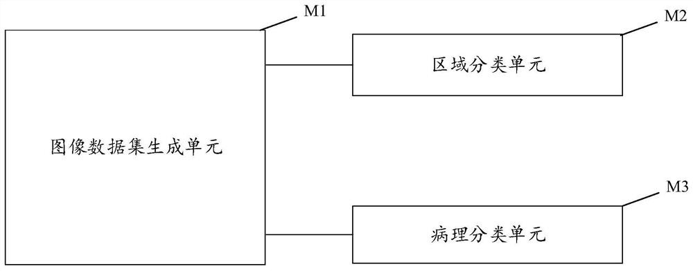 Pathological image classification device and method and use method of device