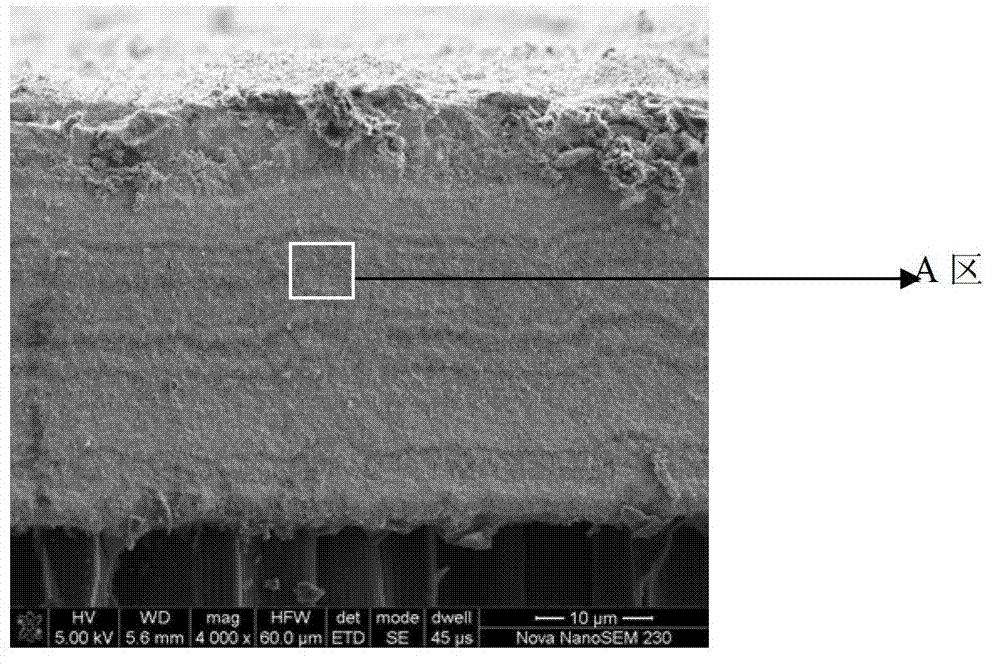 Hf (Ta) C ultra-high-temperature composite coating and preparation method thereof
