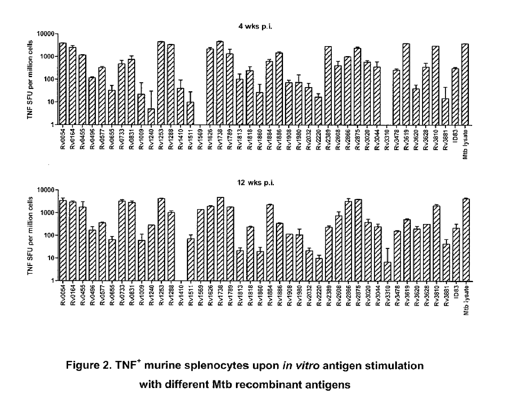 Immunogenic compositions comprising <i>Mycobacterium tuberculosis </i>polypeptides and fusions thereof