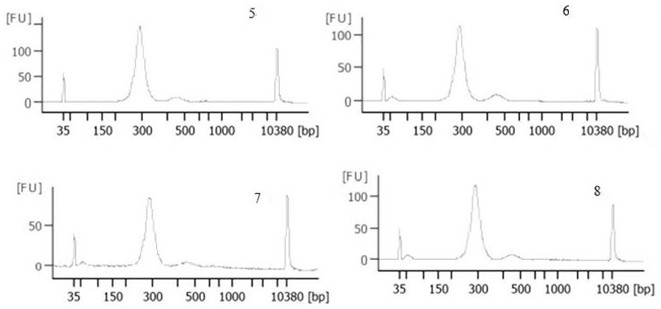 Kit for rapidly extracting free nucleic acid in plasma based on paramagnetic particle method