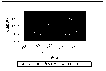 Method for breeding aphid-resistant sorghum