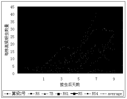 Method for breeding aphid-resistant sorghum