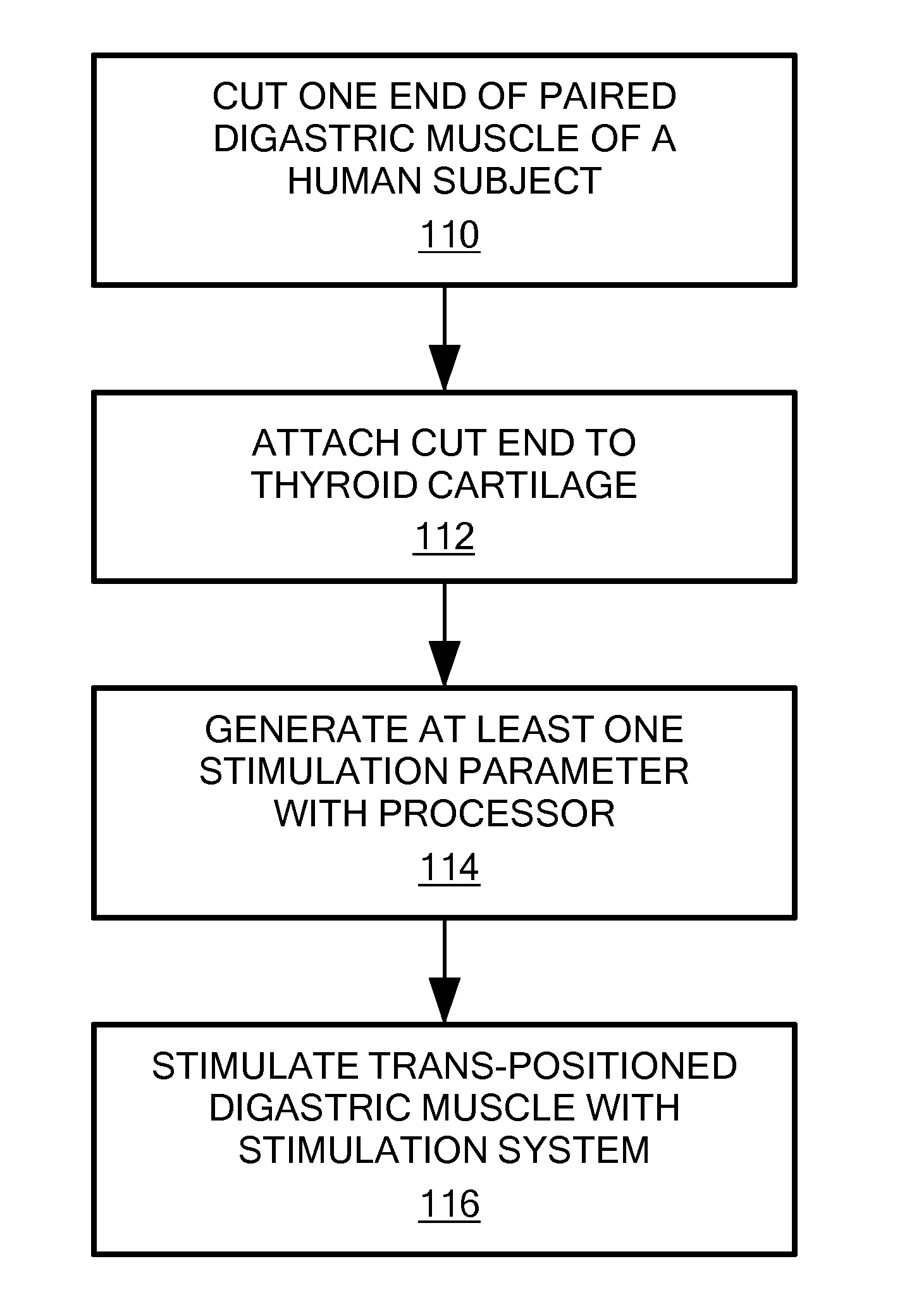 Method for Modifying Larynx Position by Trans-Positioning Muscle and Electrode Stimulation