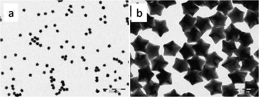 Stereo pentagram gold nanoparticles and preparation method thereof