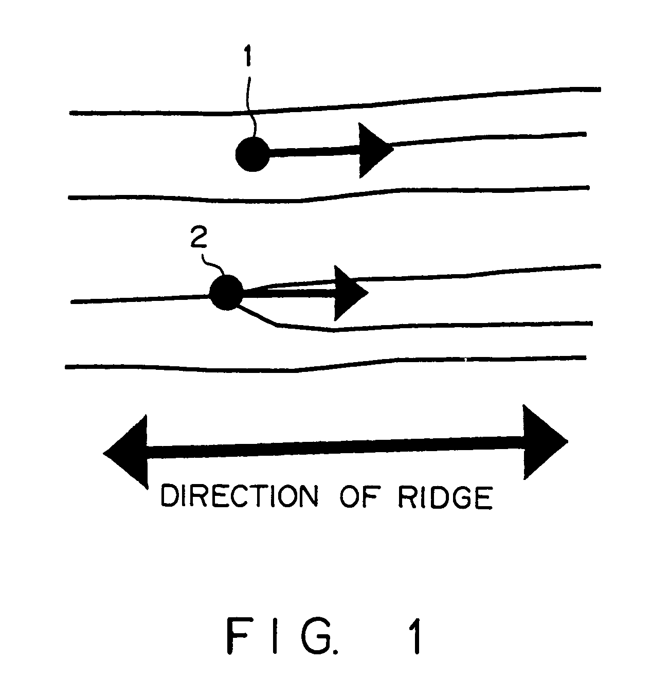 Apparatus and method for matching fingerprint
