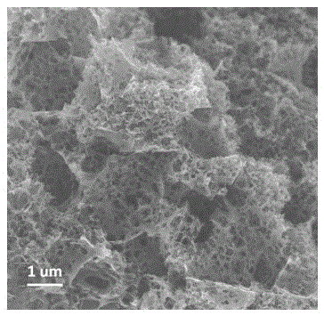 Preparation method of nitrogen and oxygen in-situ doped porous carbon electrode material and application thereof