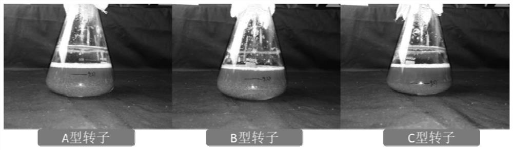 Production method of lentinus edodes liquid stock seed and lentinus edodes liquid stock seed