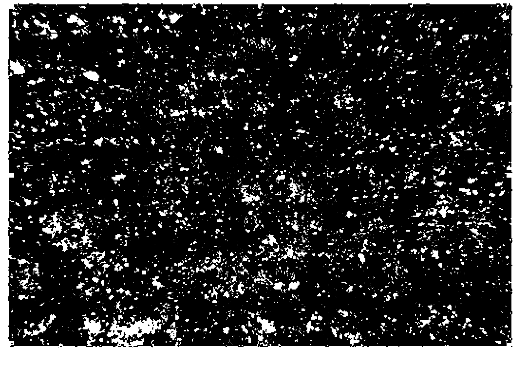 Steel alloy, compressor slide sheet and preparation method of compressor slide sheet