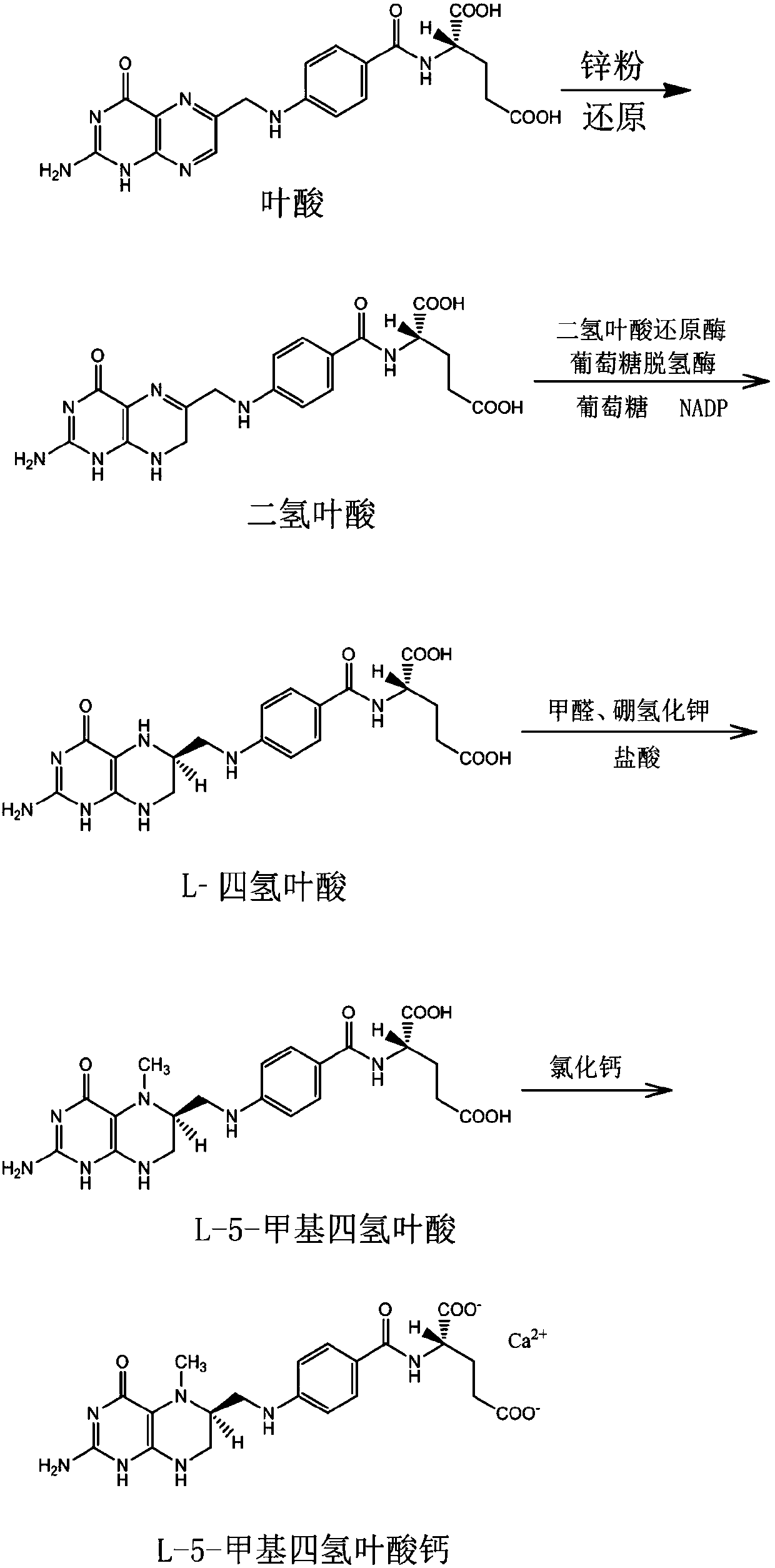 Method for preparing L-5-calcium methyl tetrahydrofolate through enzymic method