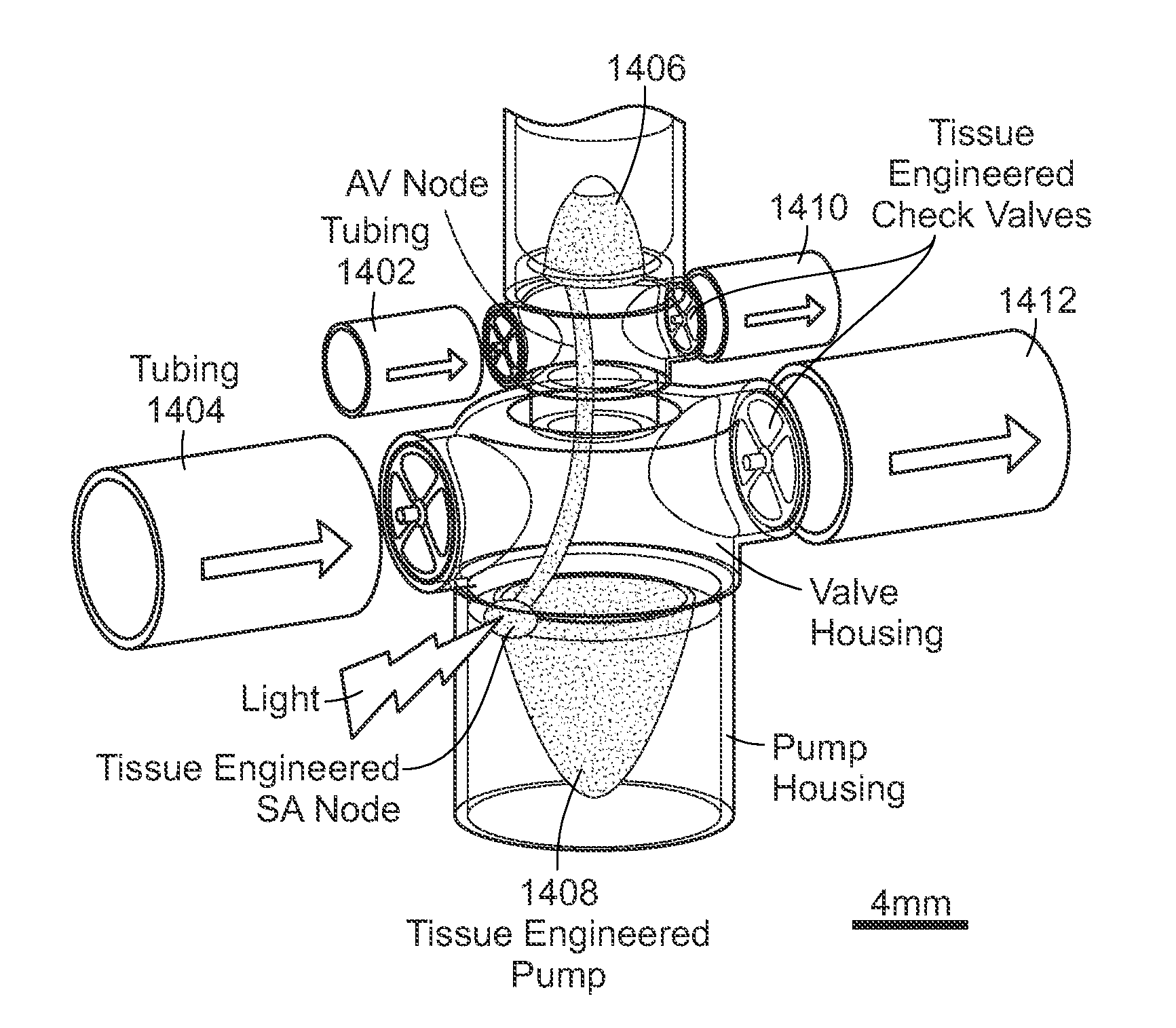 Tissue-engineered pumps and valves and uses thereof