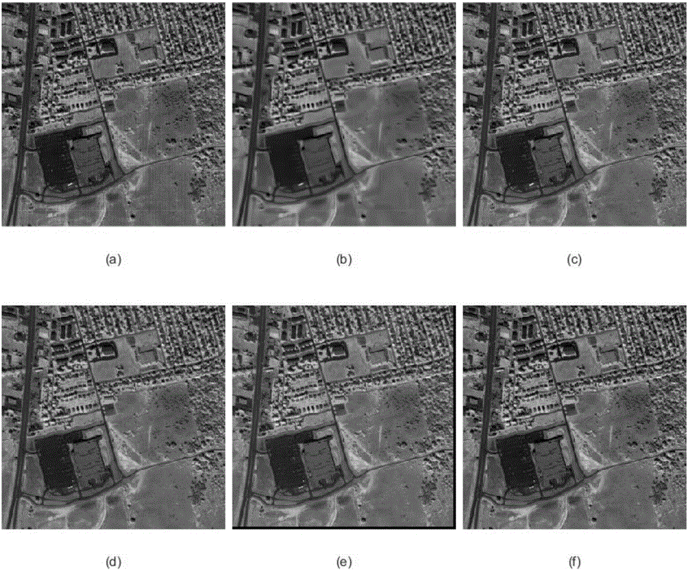Hyperspectral image denoising method based on non-convex low rank matrix decomposition